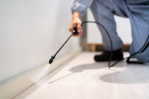 Licensed Cockroach Control service in Hephzibah, GA - Nex Pest Control