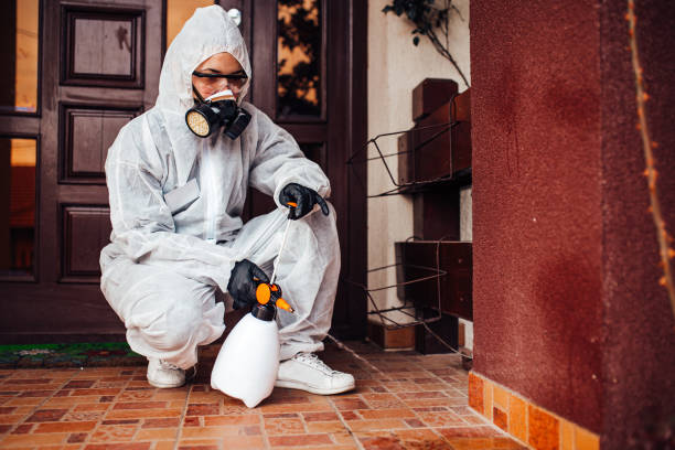 Reliable Cockroach Control contractor in Hephzibah, GA by Nex Pest Control